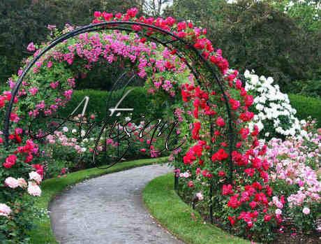 Кованые арки незаменимы для зонирования сада